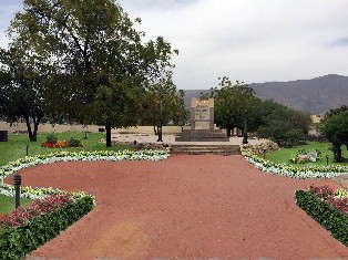 gallery grid image